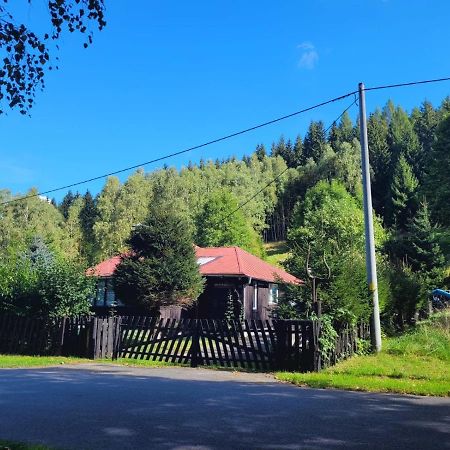 Вілла Patysiowka Строне-Шльонське Екстер'єр фото